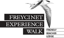 Freycinet Experience Logo